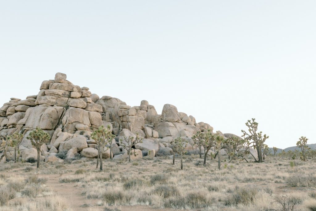 Dreamy desert elopement with bride and groom in Joshua Tree by Mariah Jones Photo wedding dress neutral florals documentary