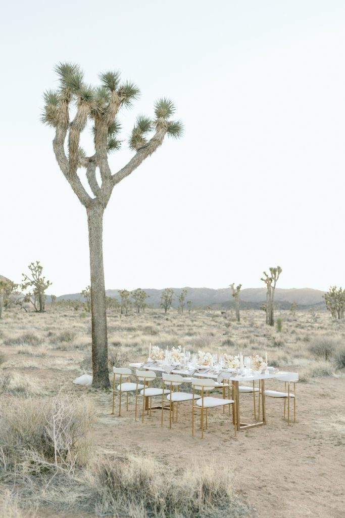 Dreamy desert elopement with bride and groom in Joshua Tree by Mariah Jones Photo wedding dress neutral florals documentary