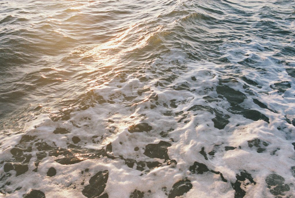 Close-up film photo of the golden hour light reflecting on the water, creating a magical atmosphere for the West Palm Beach Boat Elopement.